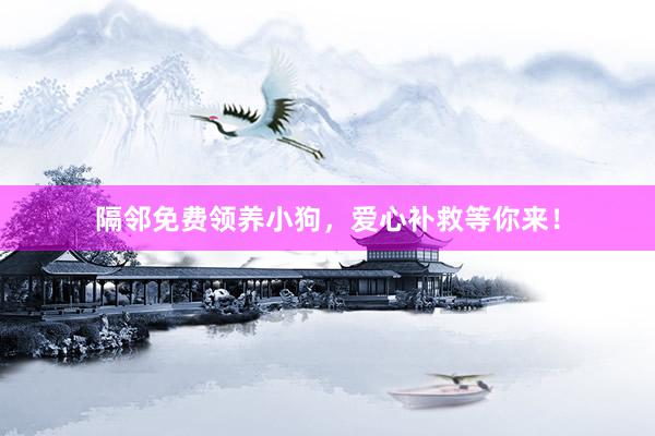 隔邻免费领养小狗，爱心补救等你来！