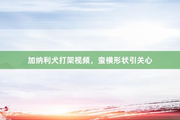 加纳利犬打架视频，蛮横形状引关心