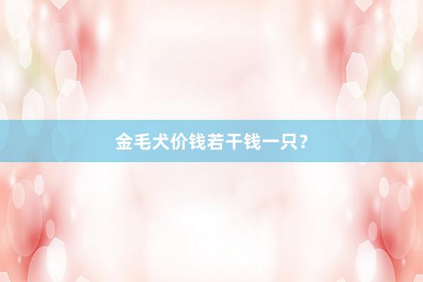 金毛犬价钱若干钱一只？