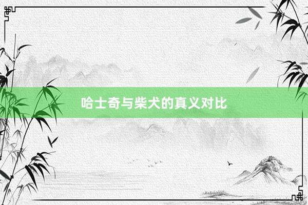 哈士奇与柴犬的真义对比